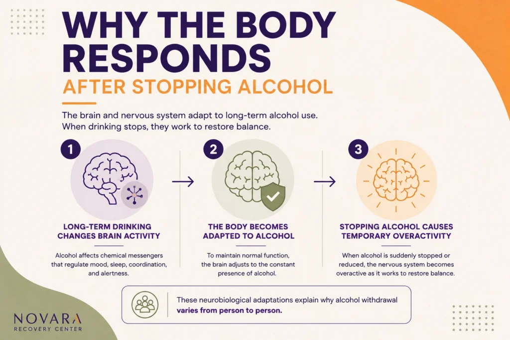 Infographic showing how the central nervous system adapts to long-term alcohol use and becomes temporarily overactive after drinking stops.